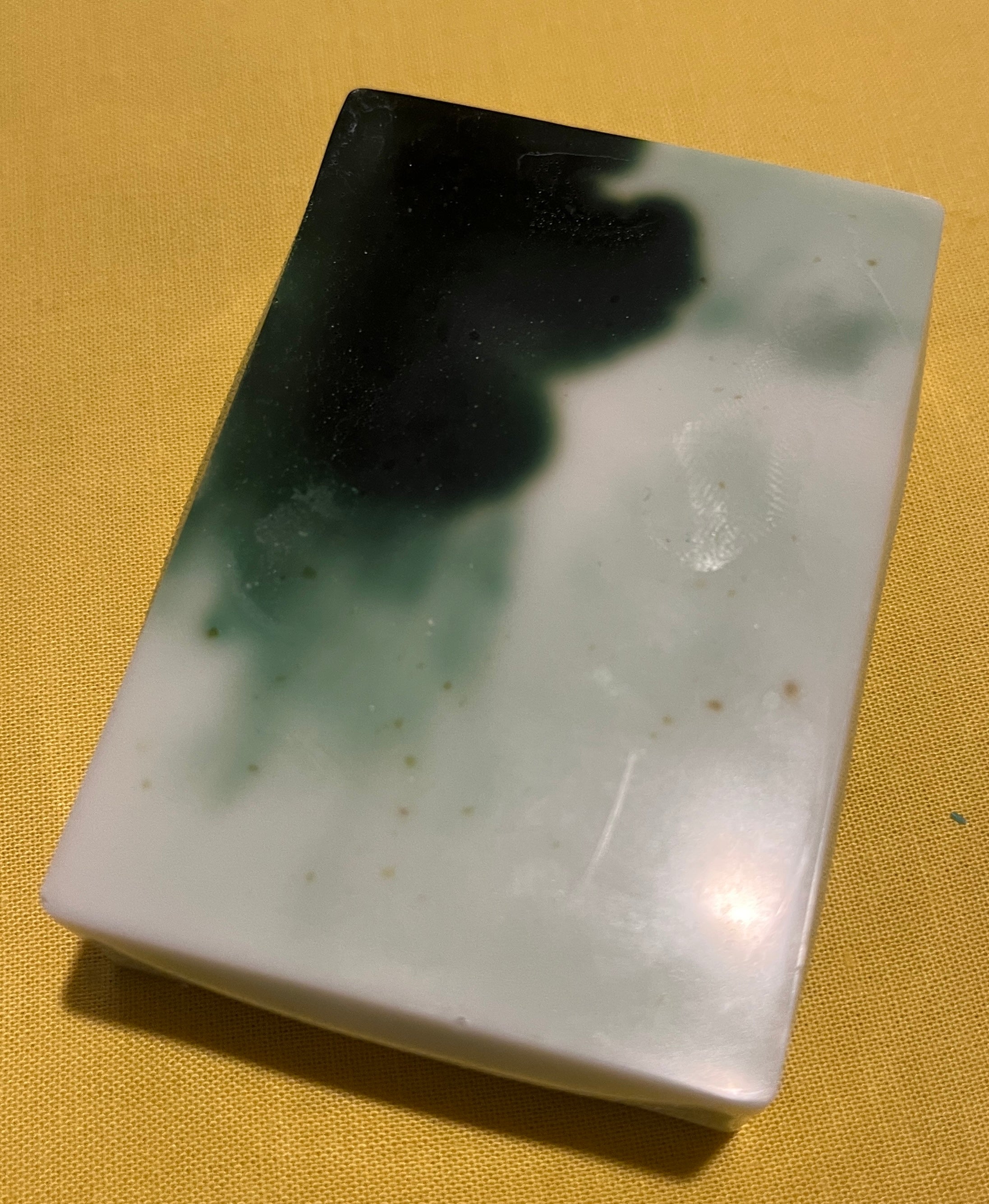 November Rain and Forest Pine