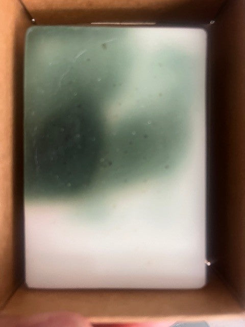 November Rain and Forest Pine