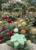 Rose Garden