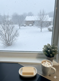 Snow Day