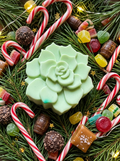 Sugar Pine Mint